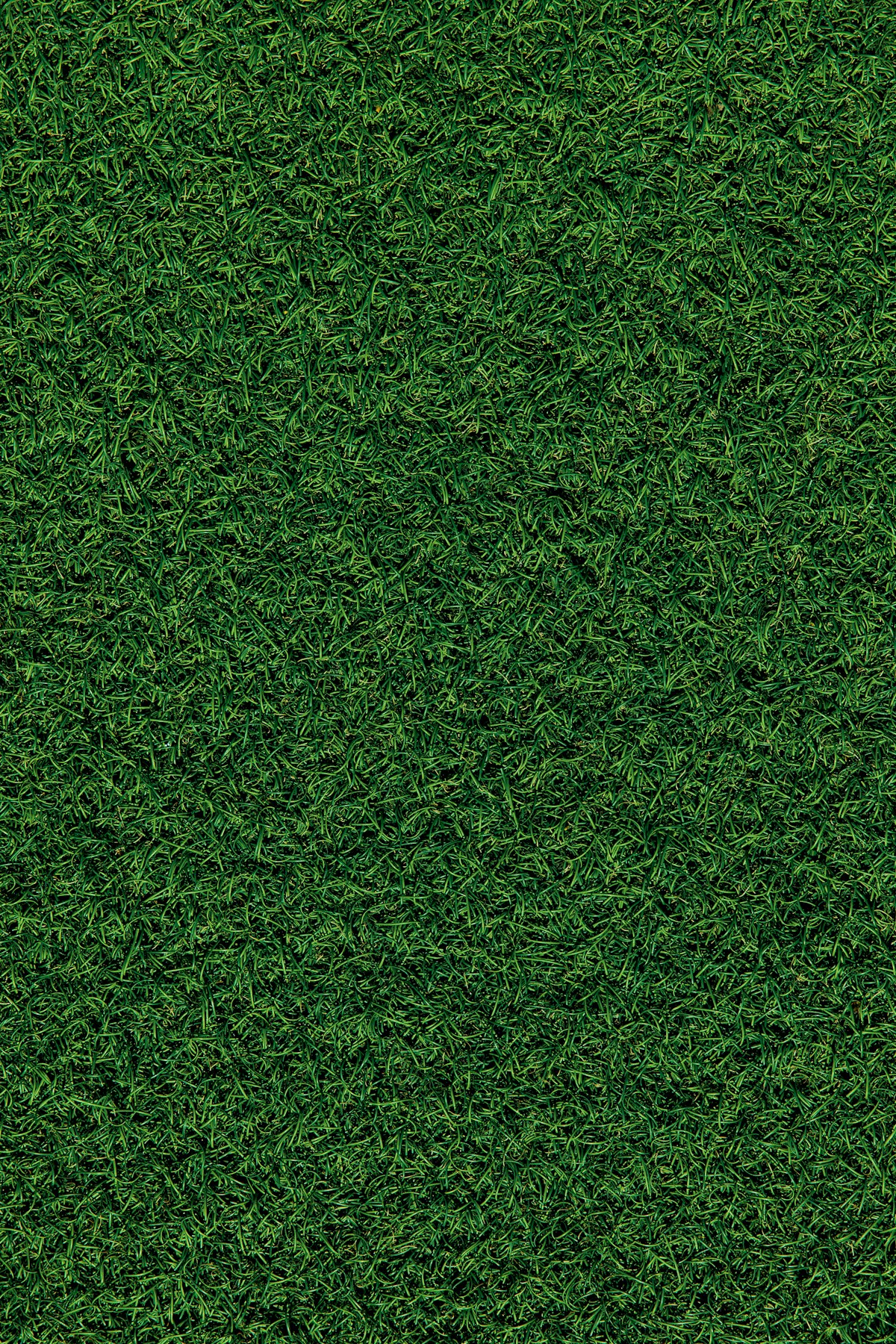 Our 40mm nylon-blend turf fibers stay upright — the same surface used in pro sports fields.
