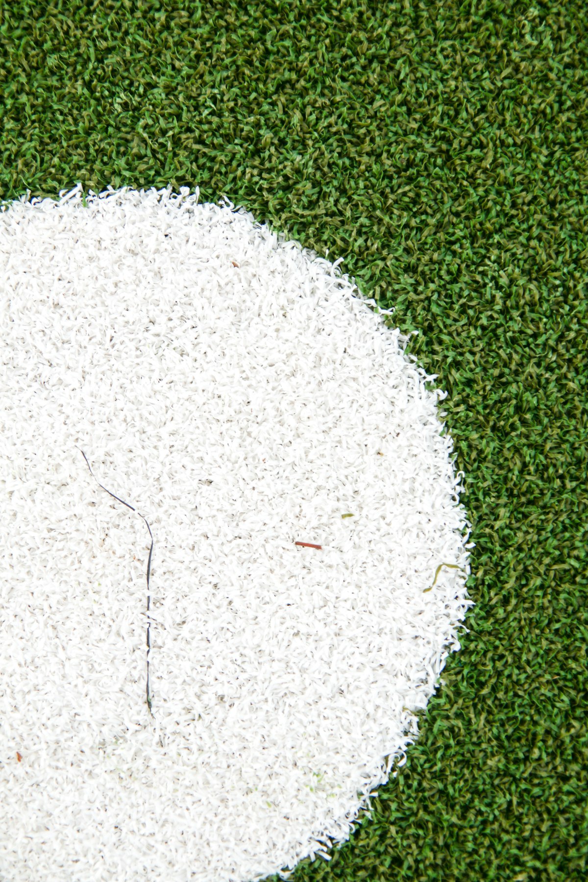 A backyard putting green with precision-mowed lines and true ball roll — practice year-round.