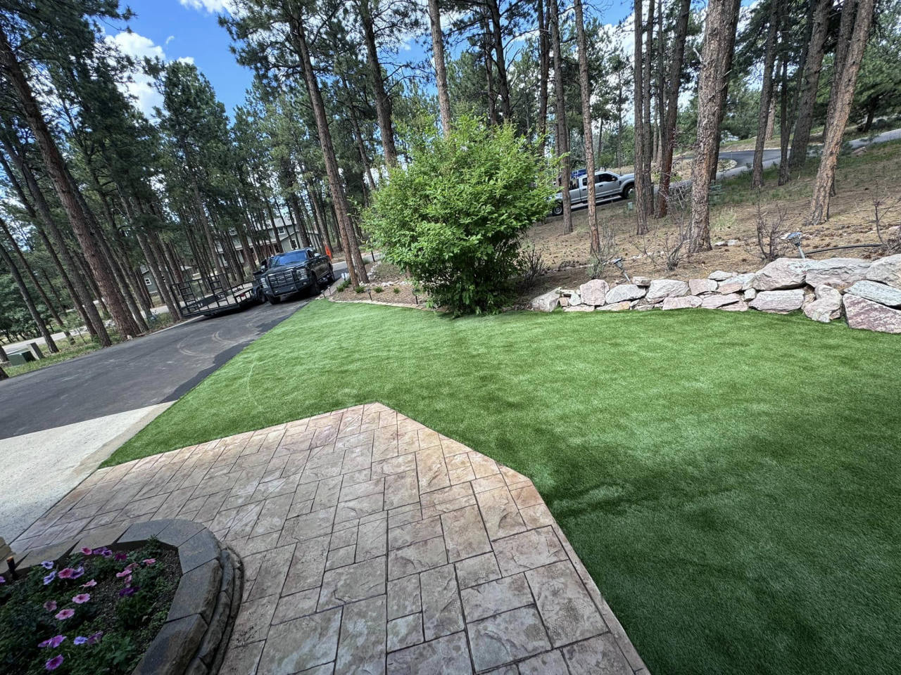 Front-yard artificial turf framed by pine trees and stamped concrete — artificial turf in Parker, CO