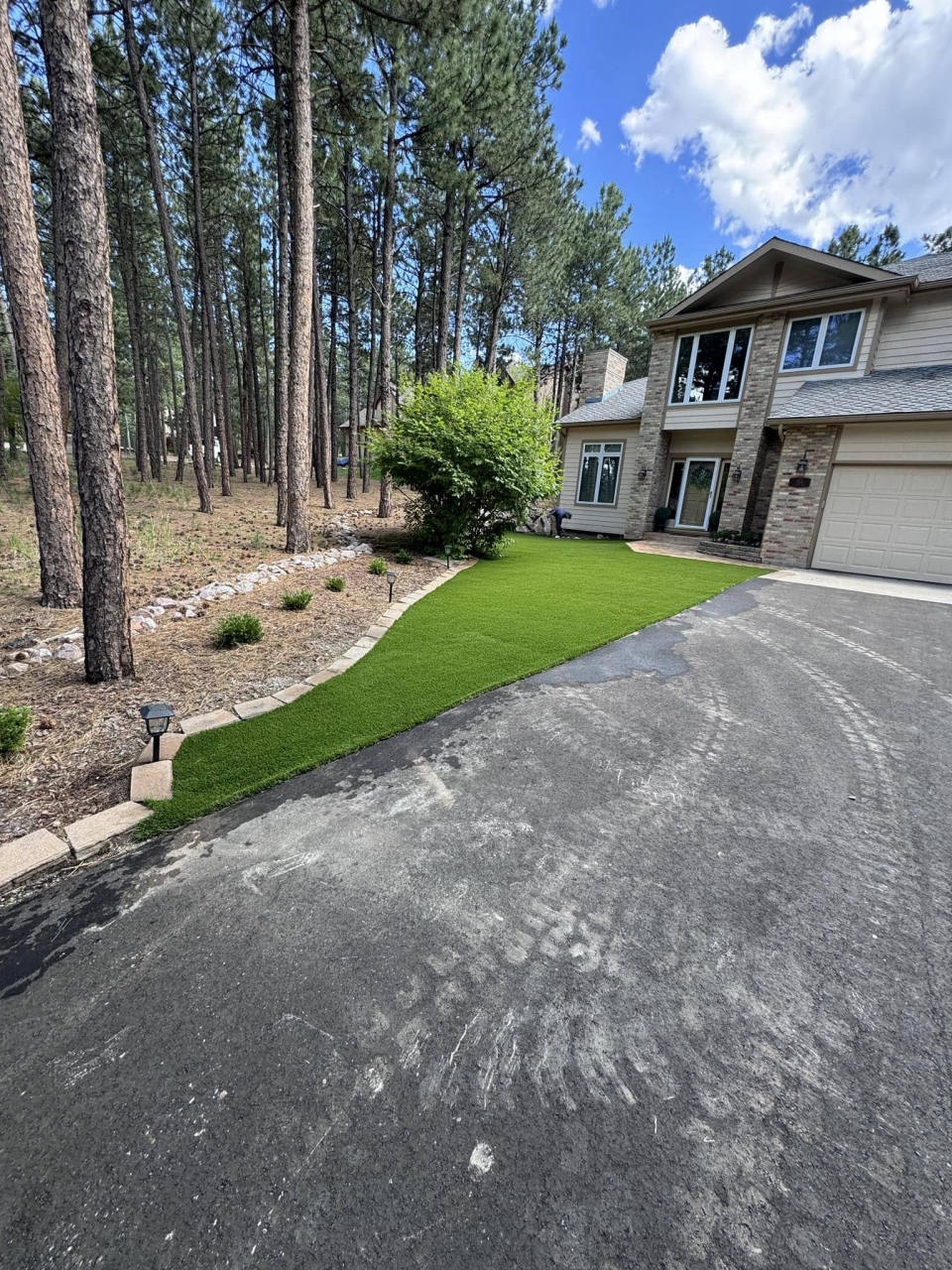 Front-yard artificial turf at a pine-shaded mountain home — artificial turf in Parker, CO